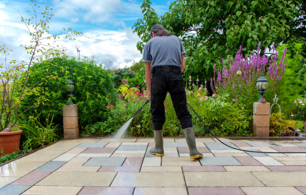 Trusted Salina, UT Pressure Washing Services Experts
